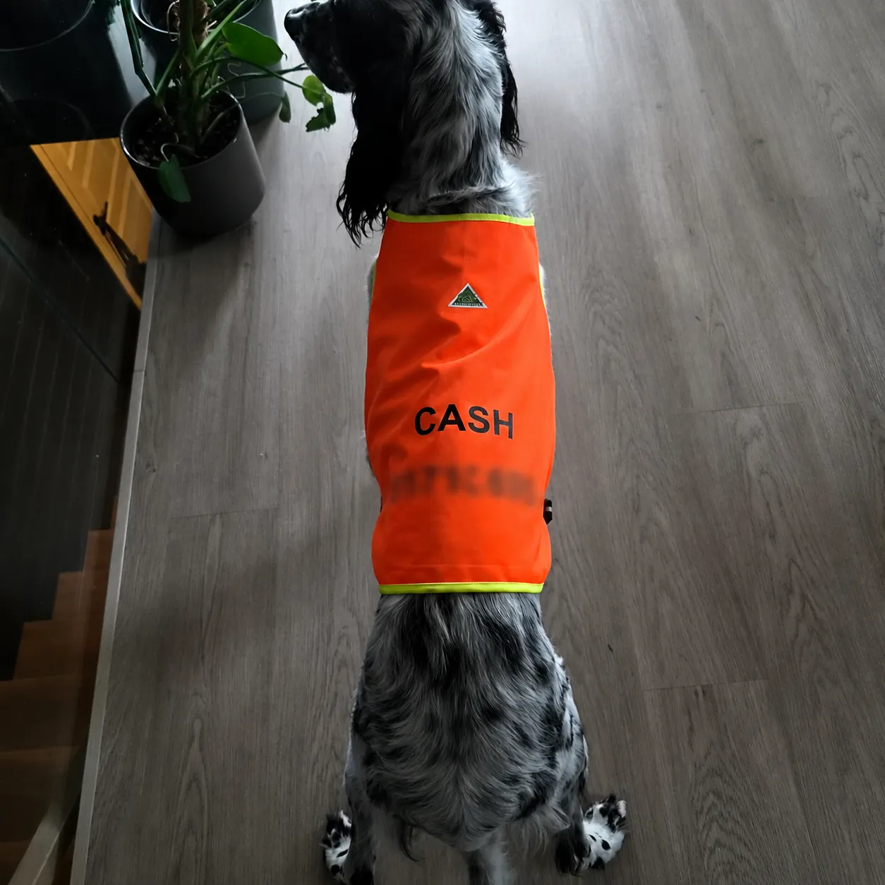 Produktbilde 1