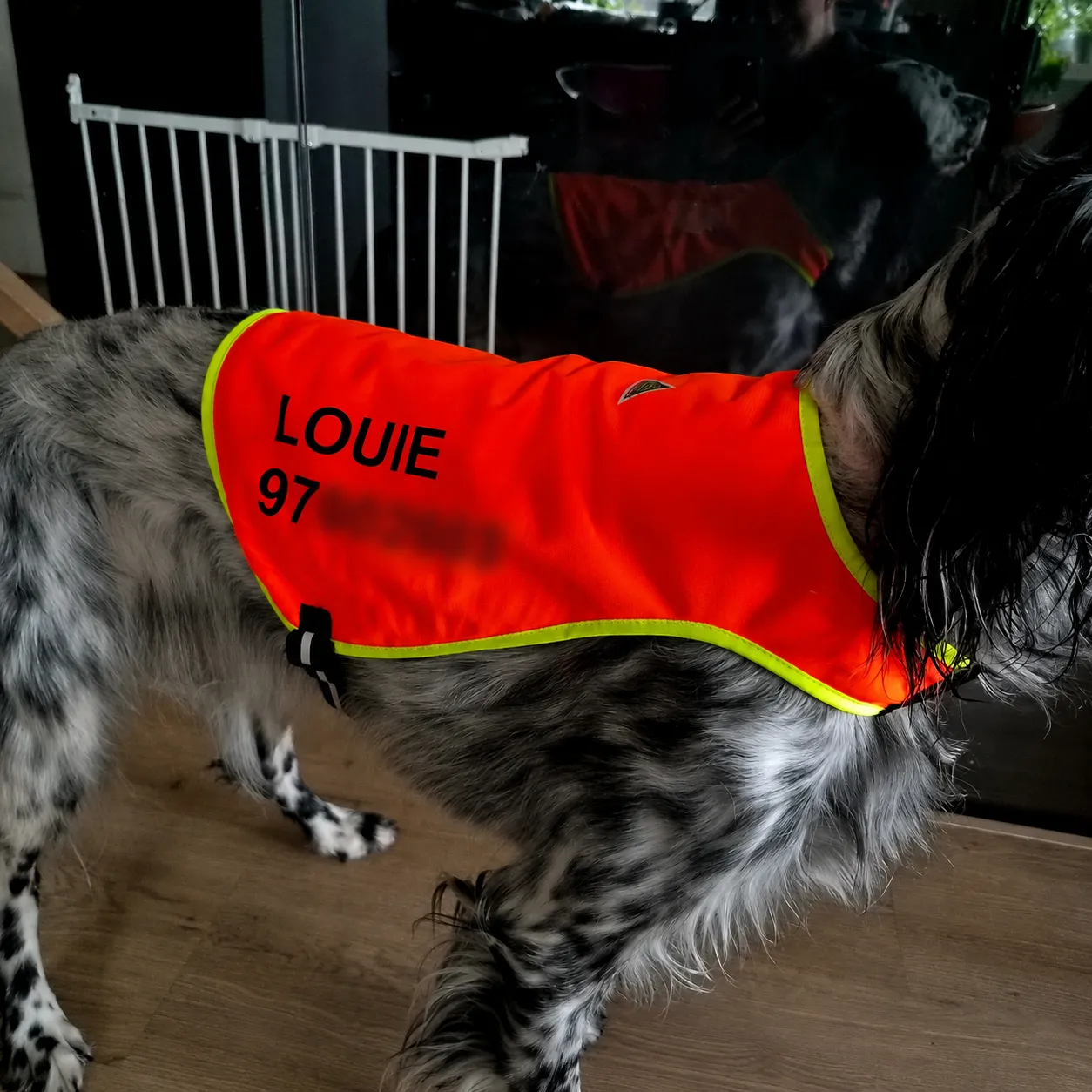 Produktbilde 2